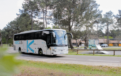 Nouveaux véhicules de tourisme : sécurité, confort et modernité au service de vos trajets