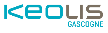 Plan de travail 1 Logo Keolis Gironde